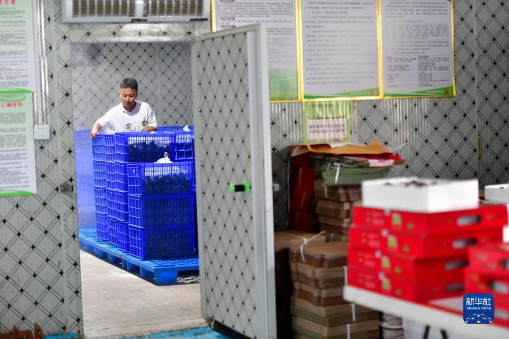 斗牛游戏下载